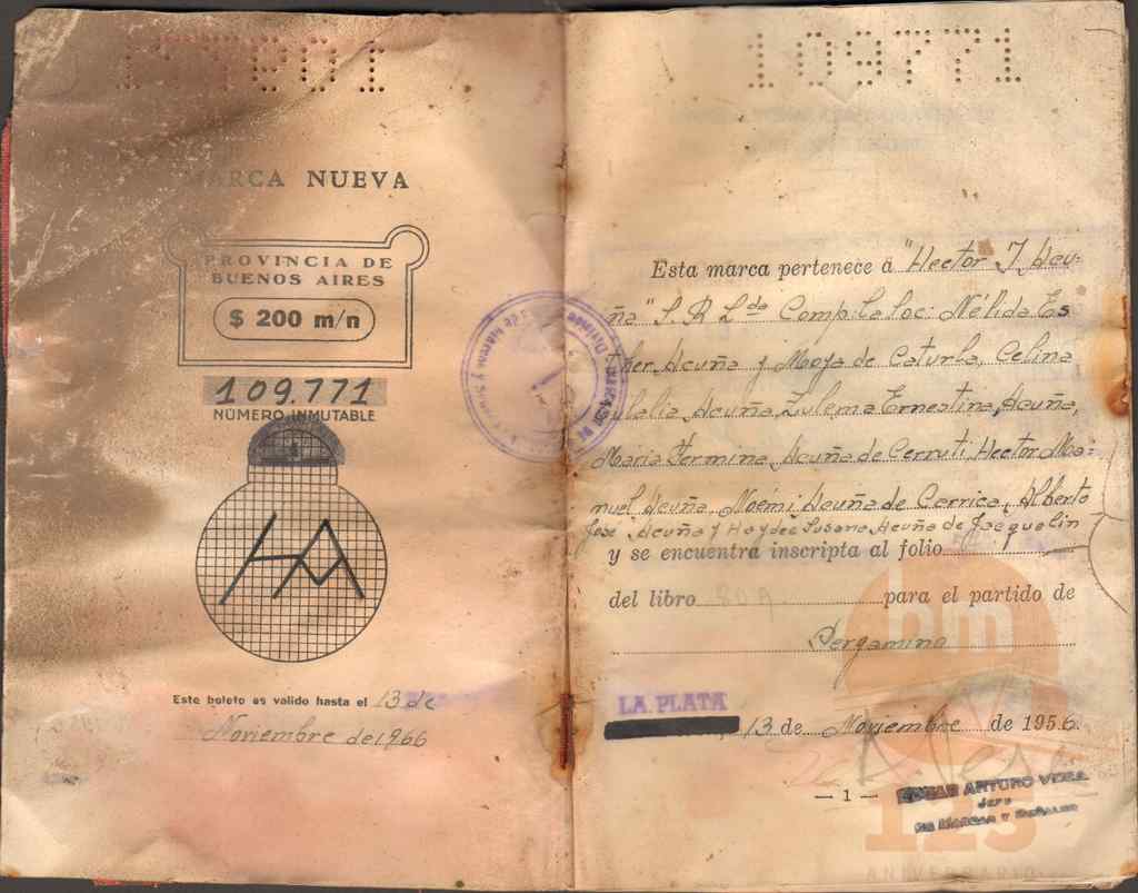 Boleto de Marca de Hector Acuña (2)_ds.jpg